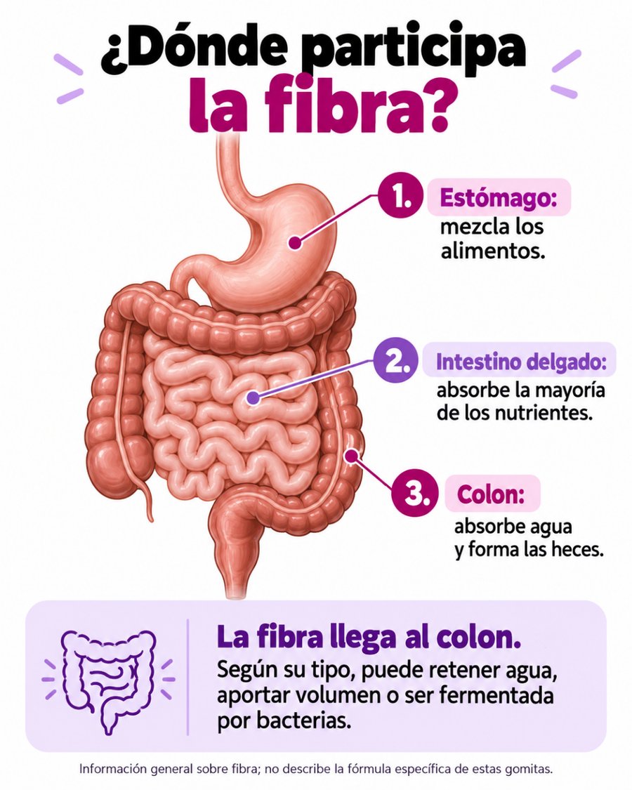 Fiber Gummies gomitas de fibra